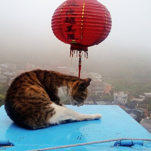 Taiwan